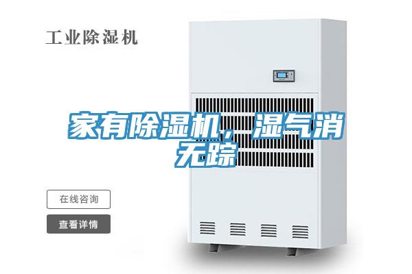 家有小黄片直播视频，湿气消无踪