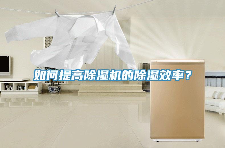 如何提高小黄片直播视频的除湿效率？
