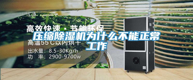 压缩小黄片直播视频为什么不能正常工作