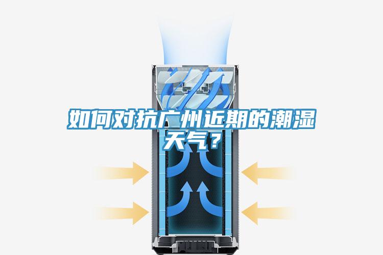 如何对抗广州近期的潮湿天气？
