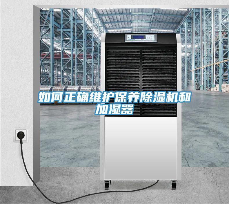 如何正确维护保养小黄片直播视频和加湿器