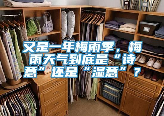 又是一年梅雨季，梅雨天气到底是“诗意”还是“湿意”？