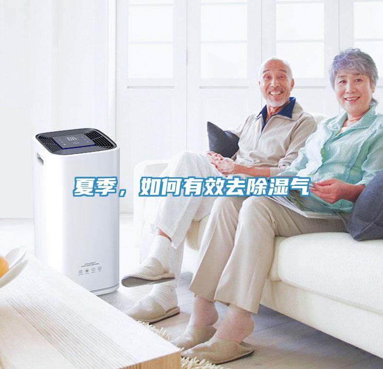 夏季，如何有效去除湿气