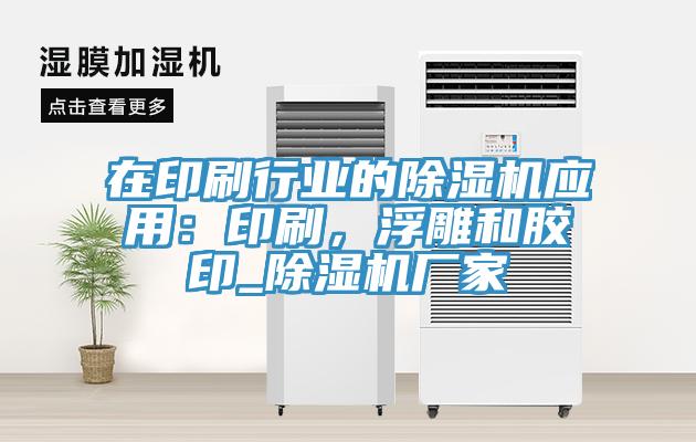 在印刷行业的小黄片直播视频应用：印刷，浮雕和胶印_小黄片直播视频厂家