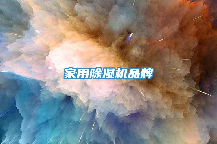 家用小黄片直播视频品牌