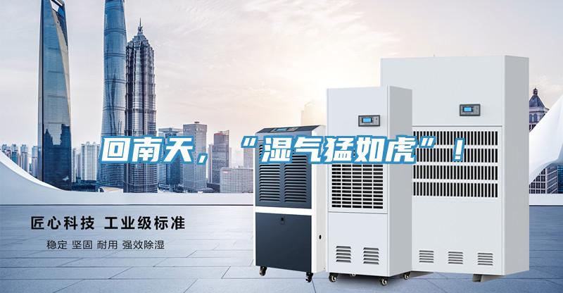 回南天，“湿气猛如虎”！