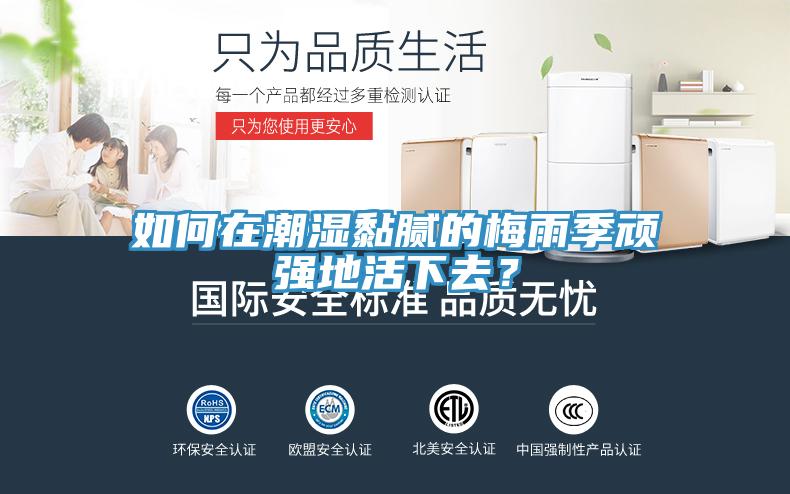 如何在潮湿黏腻的梅雨季顽强地活下去？