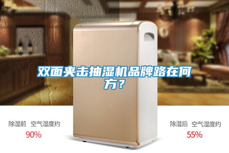 双面夹击抽湿机品牌路在何方？