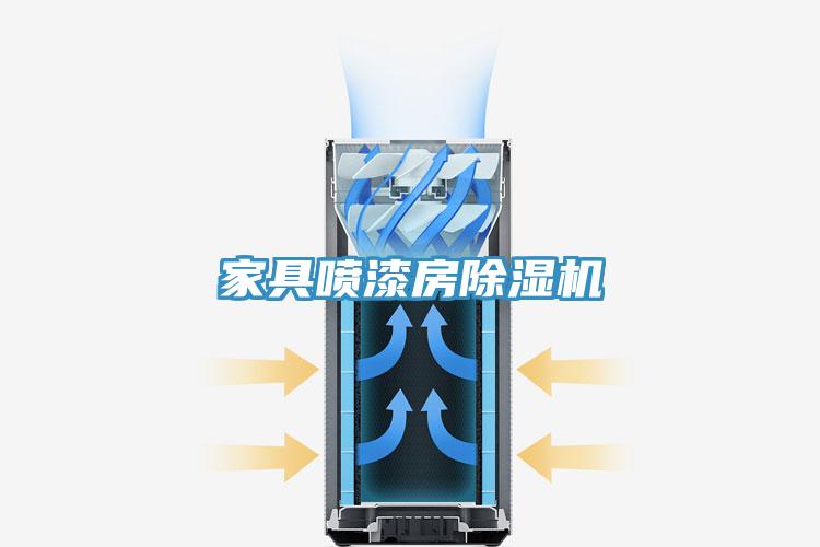 家具喷漆房小黄片直播视频