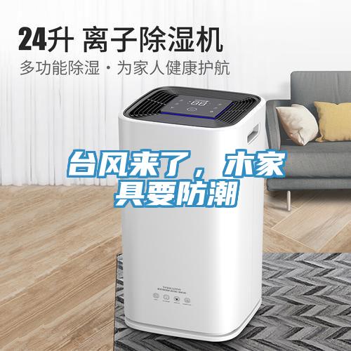 台风来了，木家具要防潮