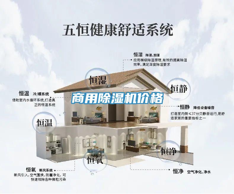 商用小黄片直播视频价格