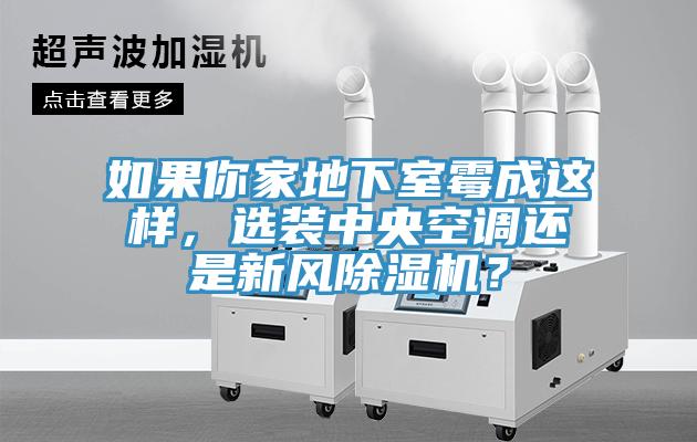 如果你家地下室霉成这样，选装中央空调还是新风小黄片直播视频？