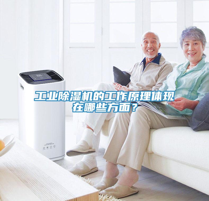工业小黄片直播视频的工作原理体现在哪些方面？