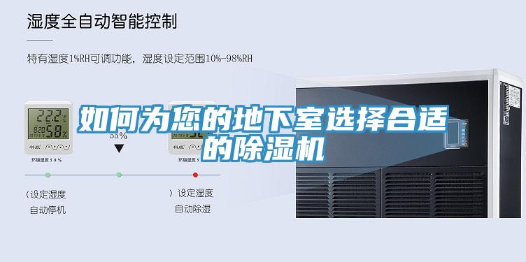 如何为您的地下室选择合适的小黄片直播视频
