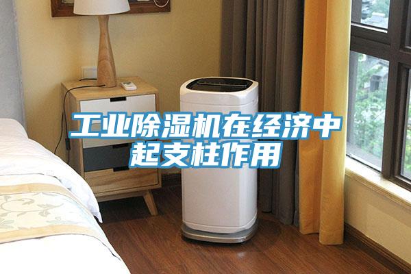 工业小黄片直播视频在经济中起支柱作用