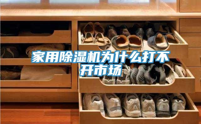 家用小黄片直播视频为什么打不开市场