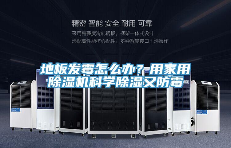 地板发霉怎么办？用家用小黄片直播视频科学除湿又防霉