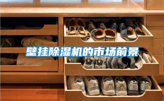 壁挂小黄片直播视频的市场前景