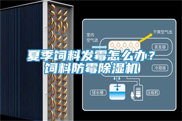 夏季饲料发霉怎么办？饲料防霉小黄片直播视频