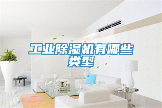 工业小黄片直播视频有哪些类型