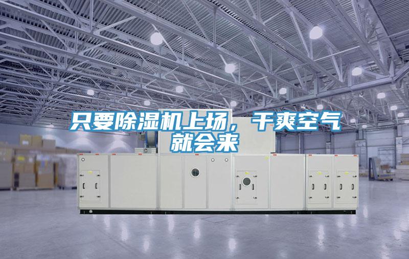 只要小黄片直播视频上场，干爽空气就会来