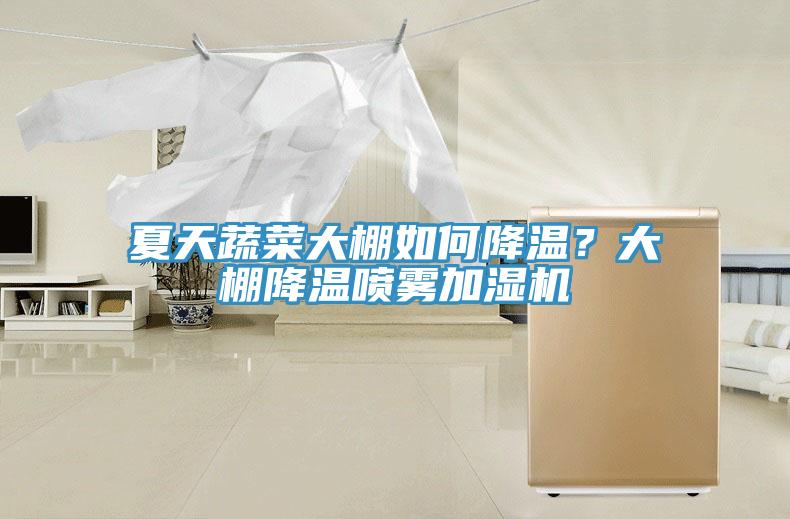 夏天蔬菜大棚如何降温？大棚降温喷雾加湿机