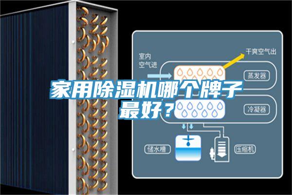 家用小黄片直播视频哪个牌子最好？