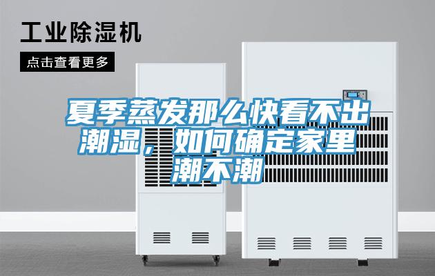 夏季蒸发那么快看不出潮湿，如何确定家里潮不潮
