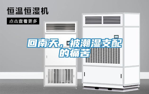 回南天，被潮湿支配的痛苦