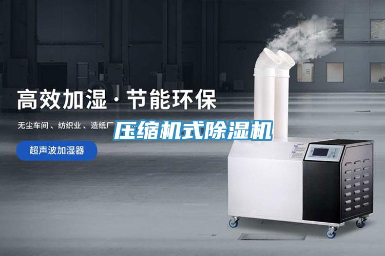 压缩机式小黄片直播视频