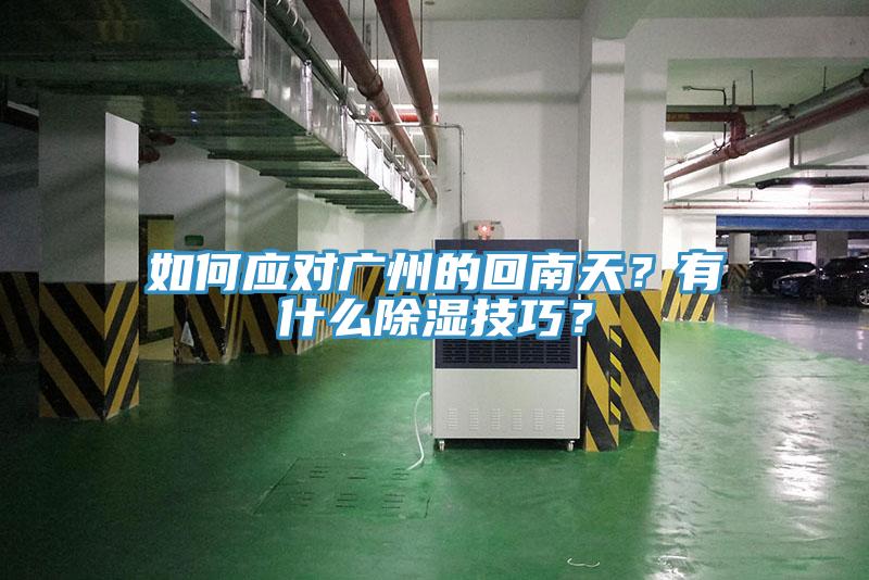如何应对广州的回南天？有什么除湿技巧？