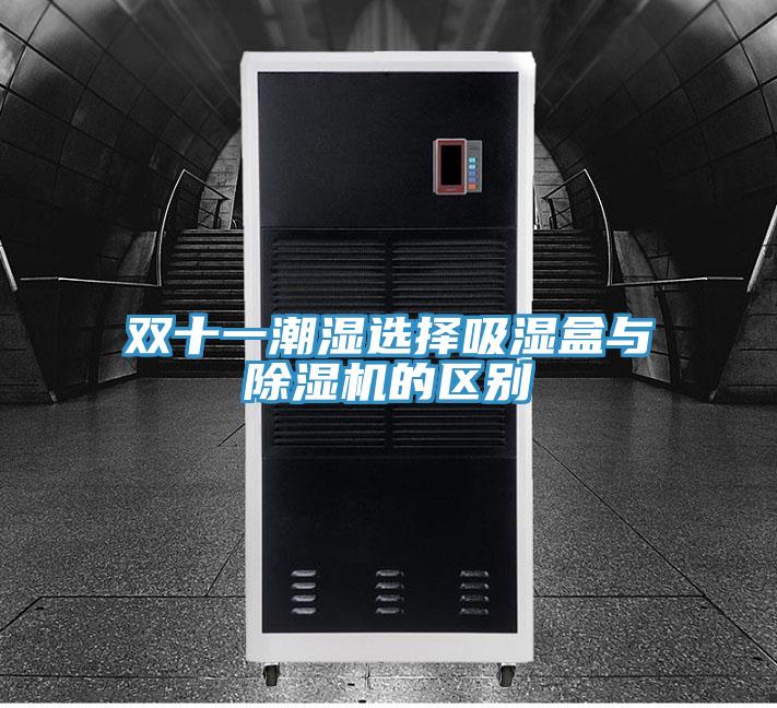 双十一潮湿选择吸湿盒与小黄片直播视频的区别