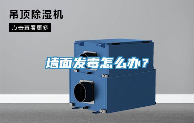 墙面发霉怎么办？