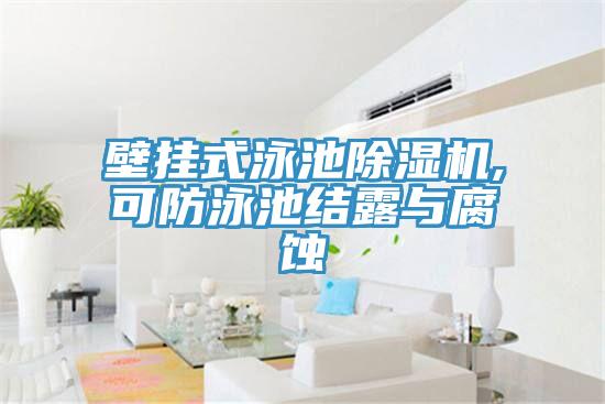 壁挂式泳池小黄片直播视频,可防泳池结露与腐蚀