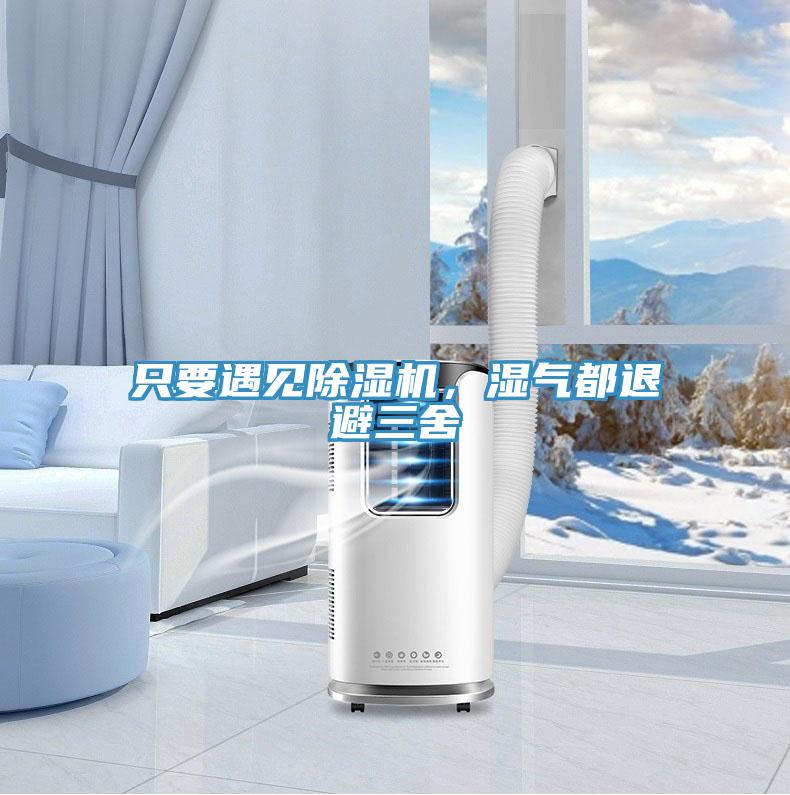 只要遇见小黄片直播视频，湿气都退避三舍
