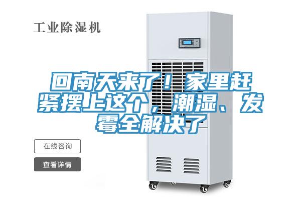 回南天来了！家里赶紧摆上这个，潮湿、发霉全解决了