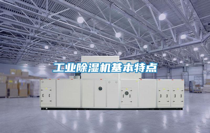工业小黄片直播视频基本特点