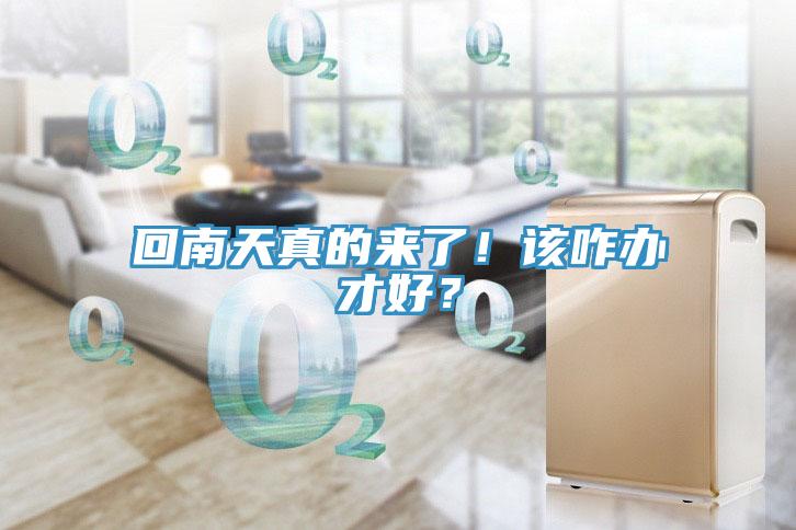 回南天真的来了！该咋办才好？