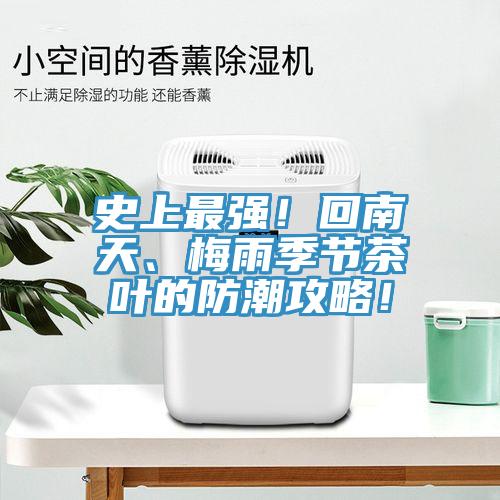 史上最强！回南天、梅雨季节茶叶的防潮攻略！