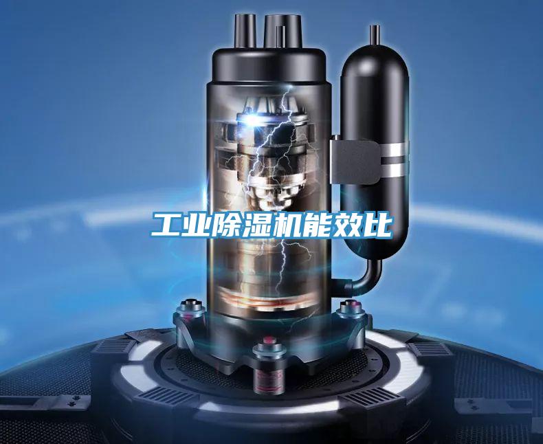 工业小黄片直播视频能效比