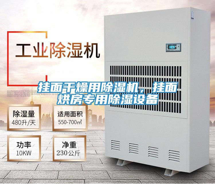 挂面干燥用小黄片直播视频，挂面烘房专用除湿设备