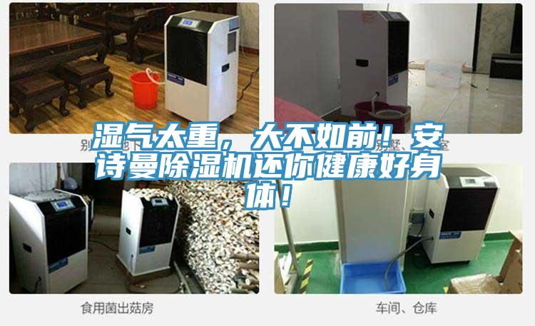 湿气太重，大不如前！午夜小黄片APP小黄片直播视频还你健康好身体！
