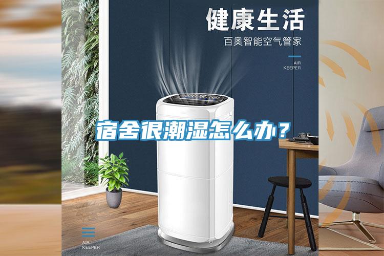 宿舍很潮湿怎么办？