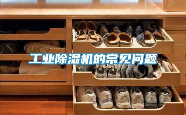 工业小黄片直播视频的常见问题