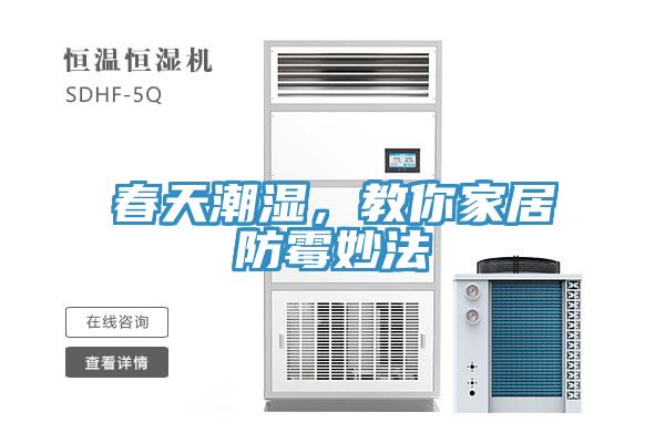 春天潮湿，教你家居防霉妙法