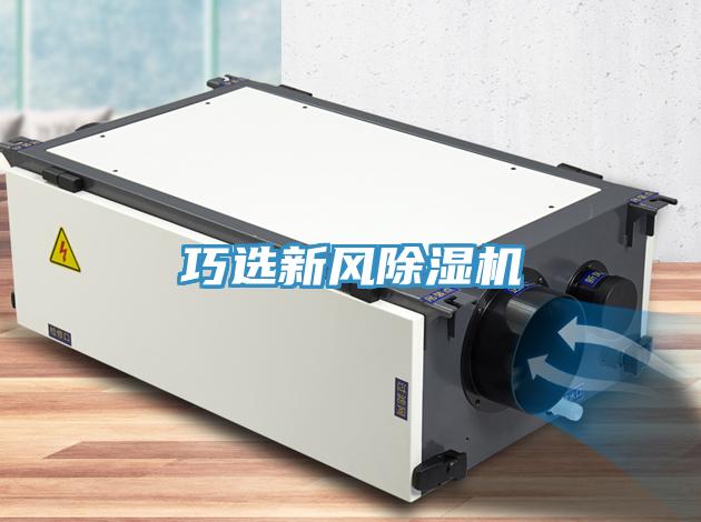 巧选新风小黄片直播视频