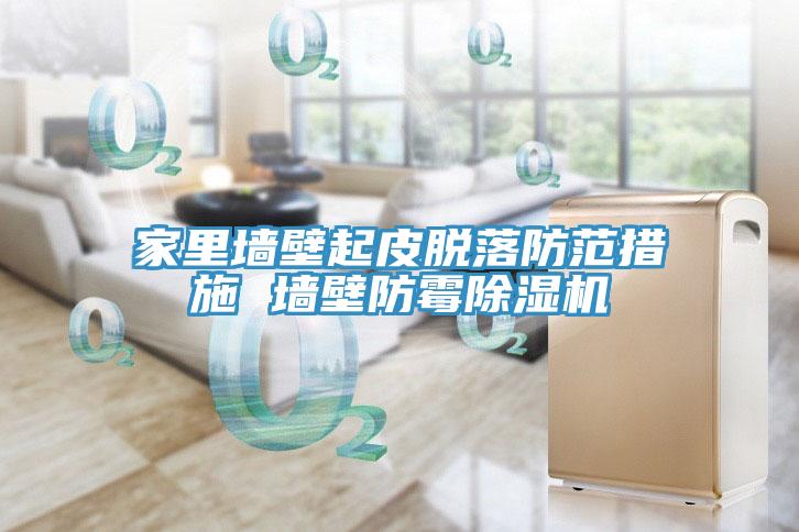 家里墙壁起皮脱落防范措施 墙壁防霉小黄片直播视频