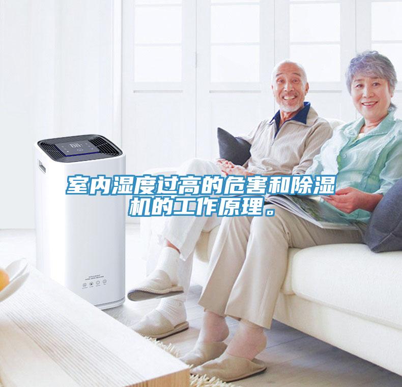 室内湿度过高的危害和小黄片直播视频的工作原理。