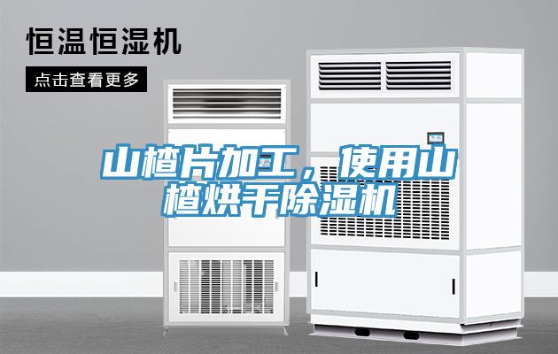 山楂片加工，使用山楂烘干小黄片直播视频