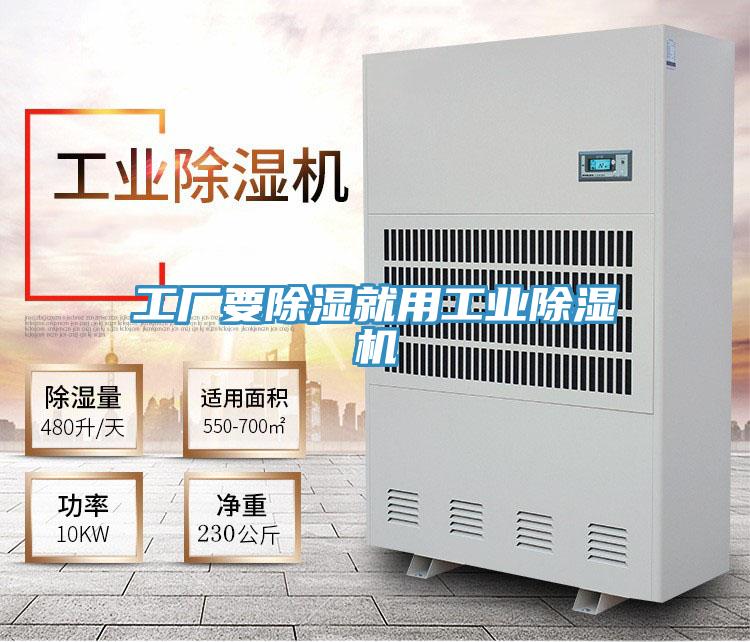 工厂要除湿就用工业小黄片直播视频